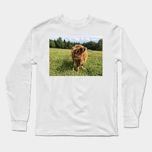 Scottish Highland Cattle Calf 1452 Long Sleeve T-Shirt